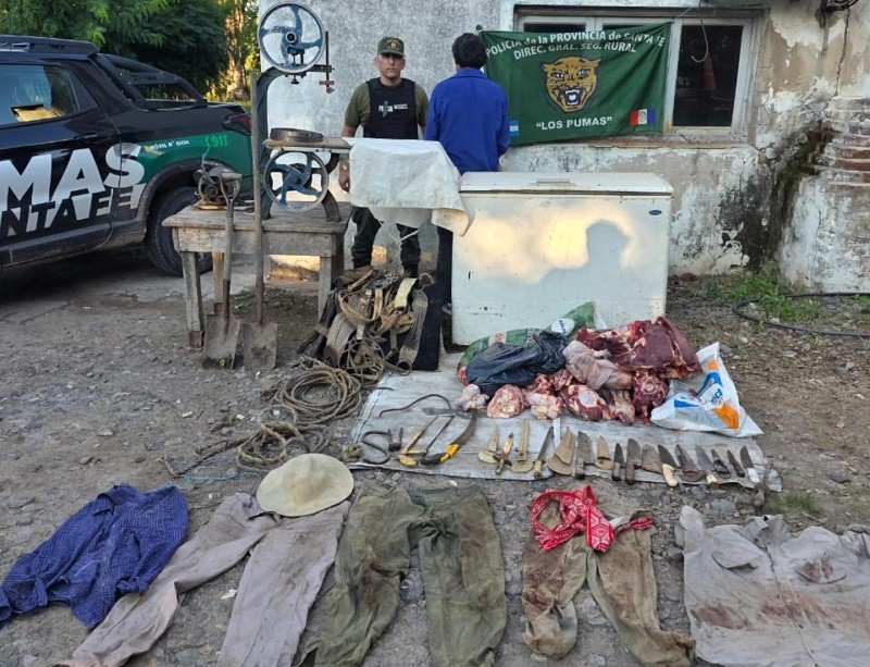 Caso de abigeato en zona rural de Capivara